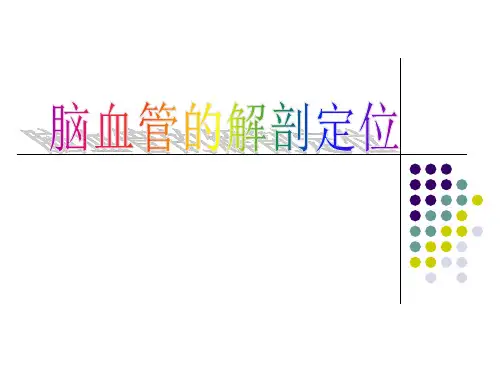 脑血管解剖定位精精品PPT课件