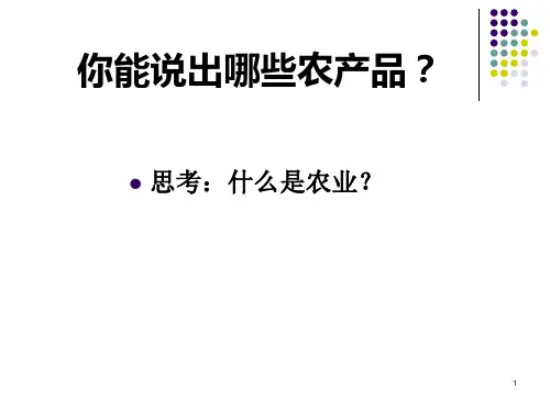 农业的区位选择PPT