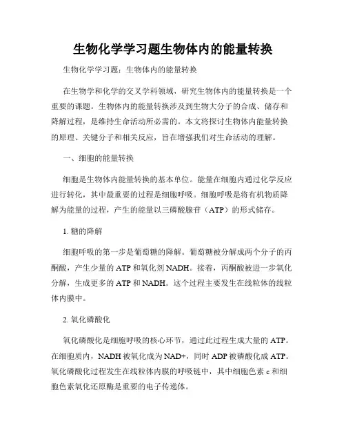 生物化学学习题生物体内的能量转换
