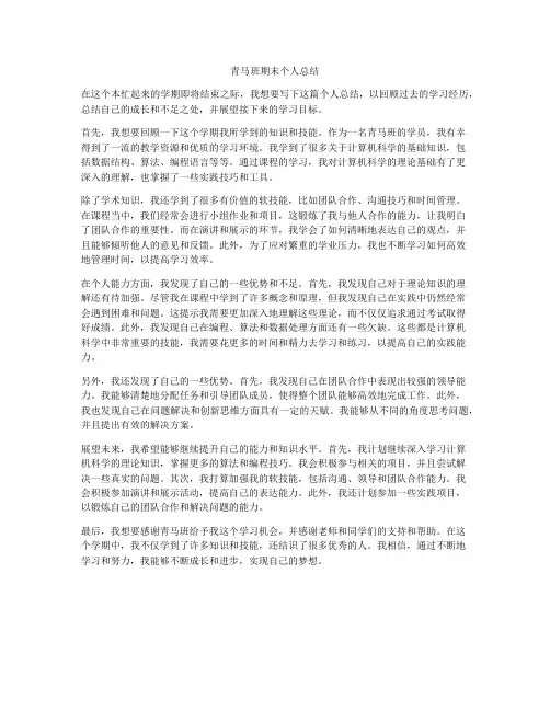 青马班期末个人总结