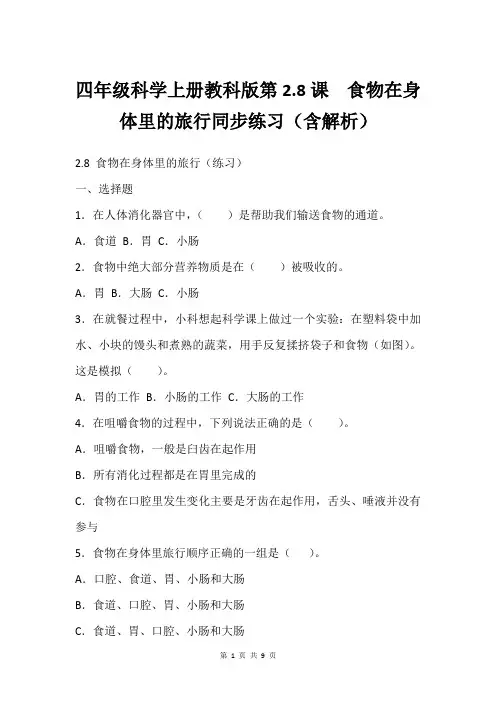 四年级科学上册教科版第2.8课  食物在身体里的旅行同步练习(含解析)