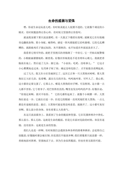 生命的脆弱与坚强
