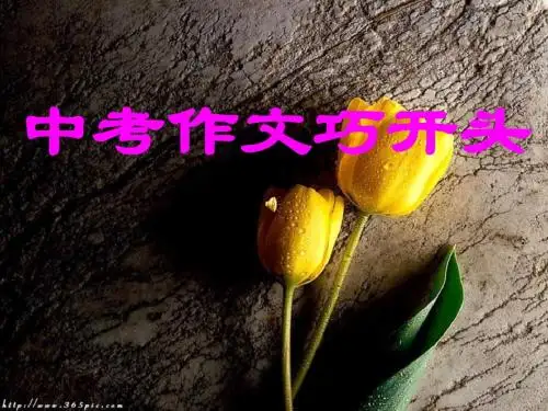 中考作文巧开头优秀课件