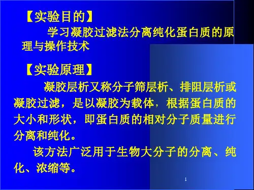 实验3凝胶过滤法使蛋白质脱盐
