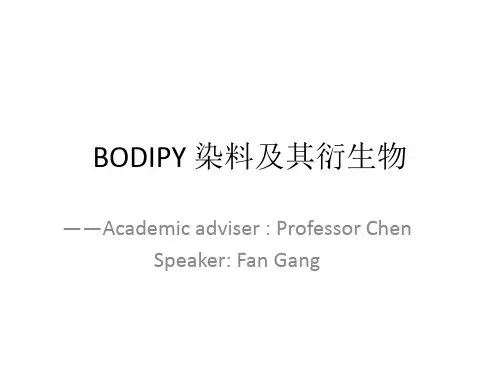 BODIPY染料及其衍生物