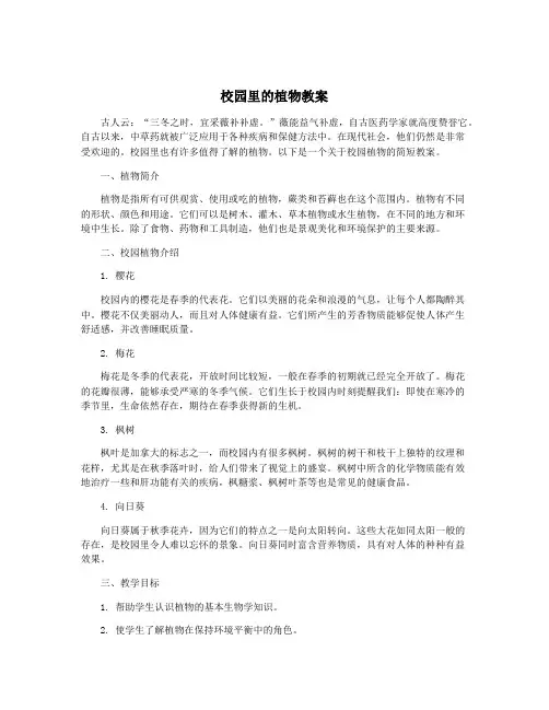 校园里的植物教案