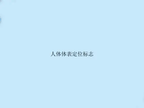 人体体表定位标志