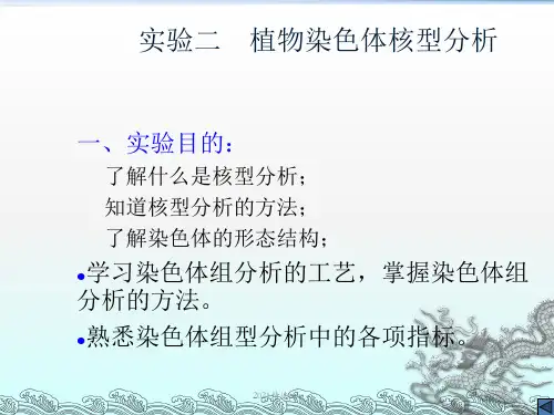 植物染色体核型分析ppt课件