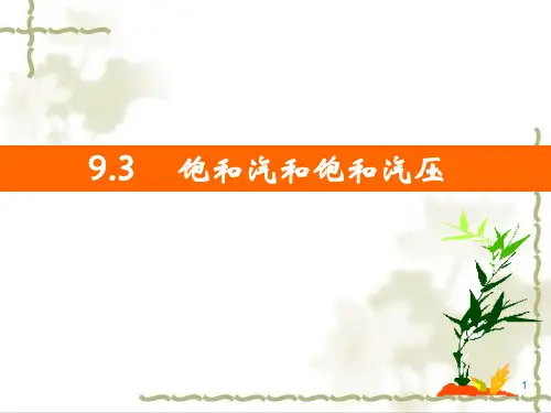 人教版高中物理选修3-3 第三章9.3饱和汽与饱和汽压(共16张PPT)