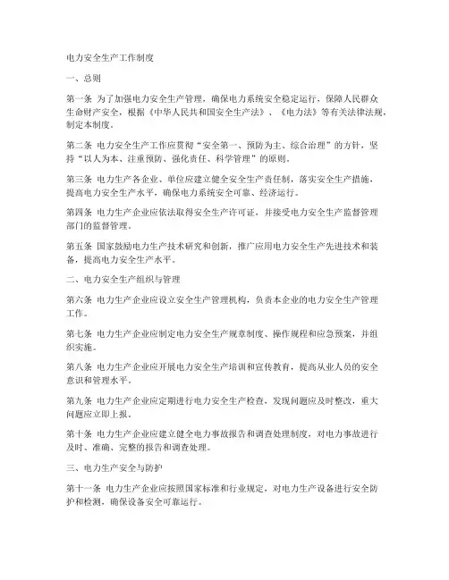 电力安全生产工作制度