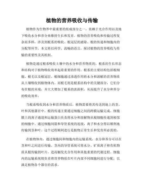植物的营养吸收与传输