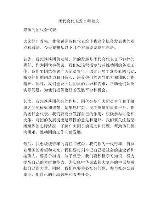 团代会代表发言稿范文