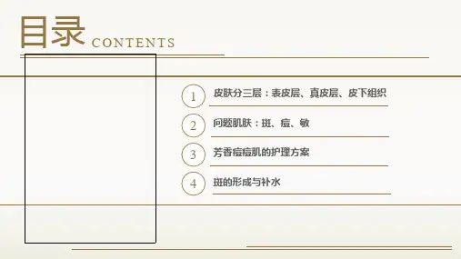 美容美妆皮肤美容知识讲座授课课件ppt