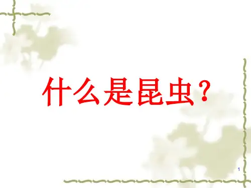 昆虫基础知识分析PPT课件