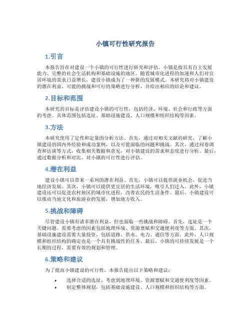 小镇可行性研究报告