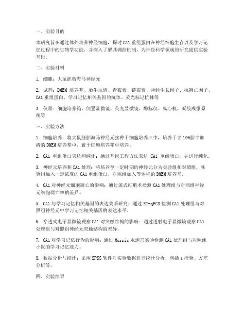 神经细胞实验报告