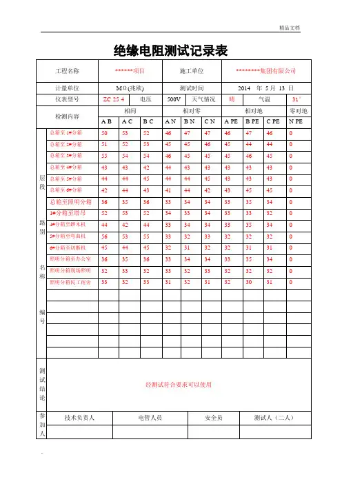 绝缘电阻检测记录(样板)