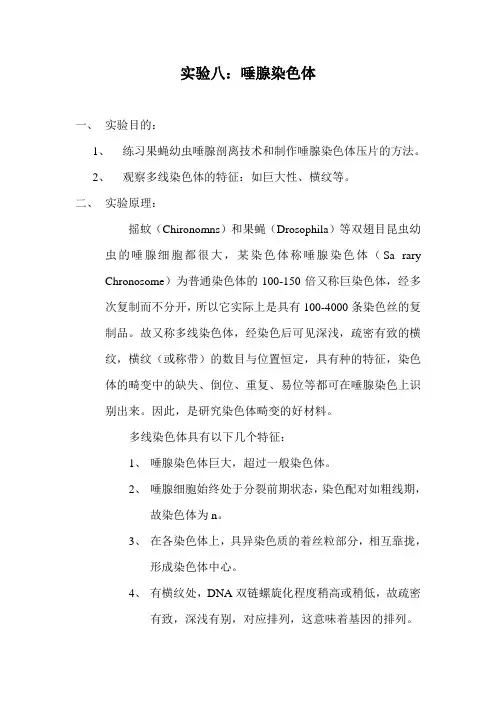 唾腺染色体