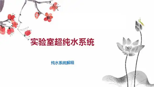 实验室超纯水系统