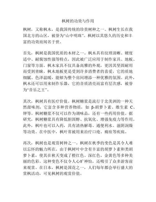 枫树的功效与作用
