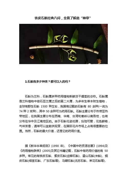 铁皮石斛经典八问，全面了解此“神草”