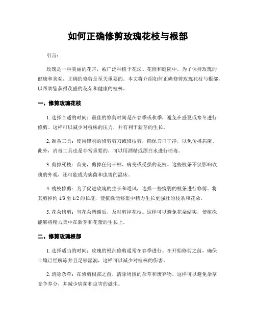 如何正确修剪玫瑰花枝与根部