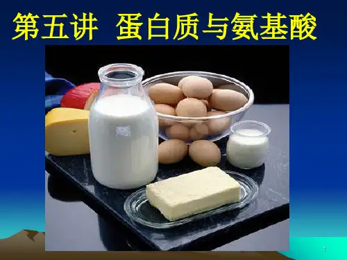 蛋白质与健康PPT课件