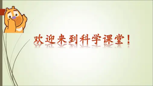 一年级上册科学《2.观察一棵植物》教科版(23张ppt)公开课课件