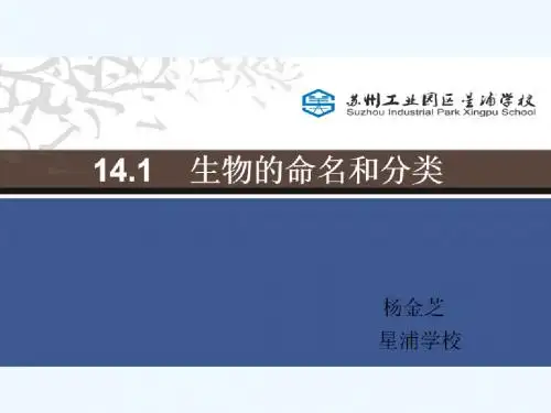 第1节生物的命名和分类