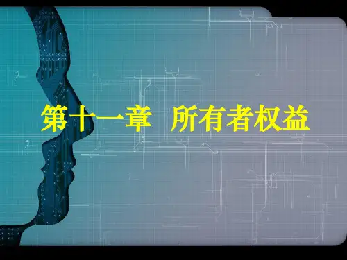 11所有者权益