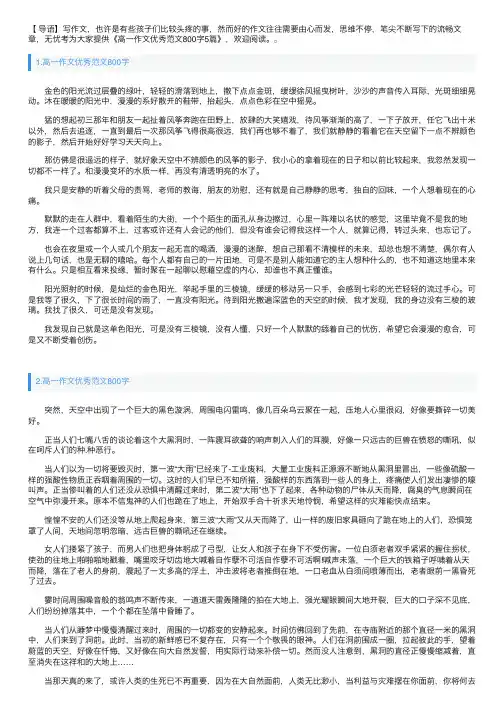 高一作文优秀范文800字5篇