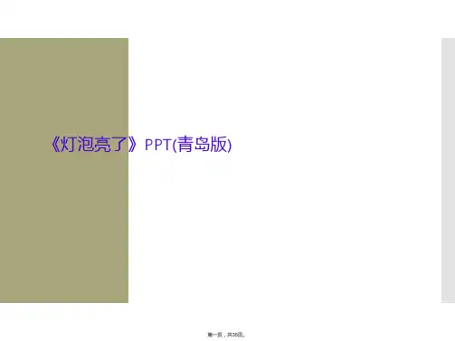 《灯泡亮了》PPT(青岛版)