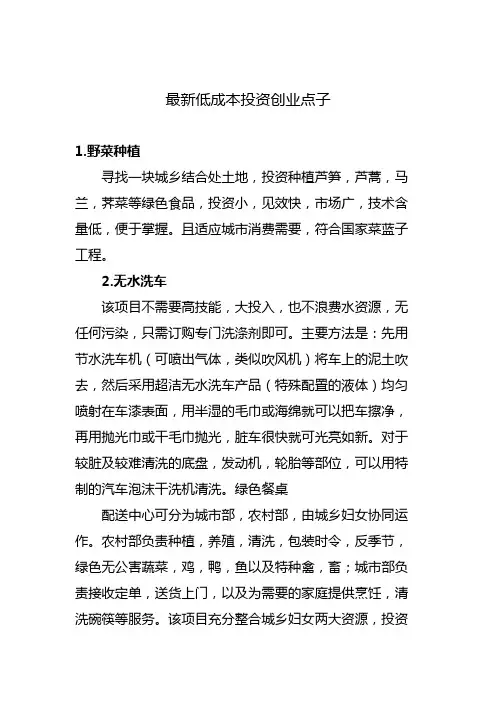 最新低成本投资创业点子