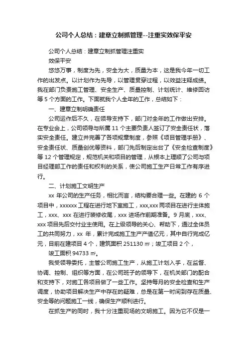 公司个人总结：建章立制抓管理--注重实效保平安