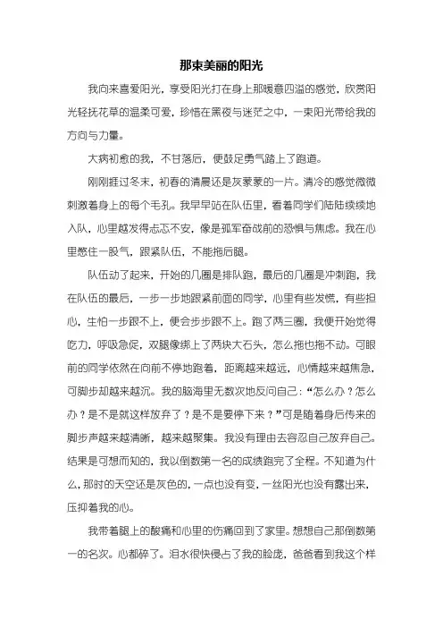 初三作文：那束美丽的阳光作文800字