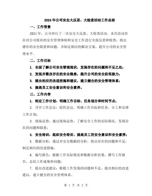 2024年公司安全大反思、大检查活动工作总结