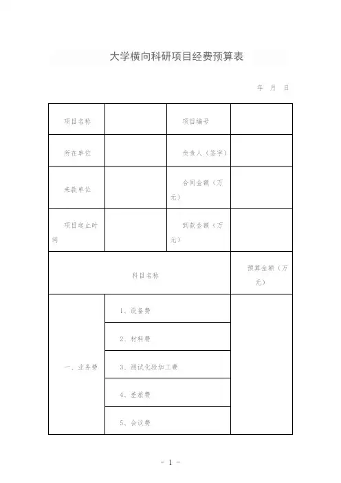 大学横向科研项目经费预算表
