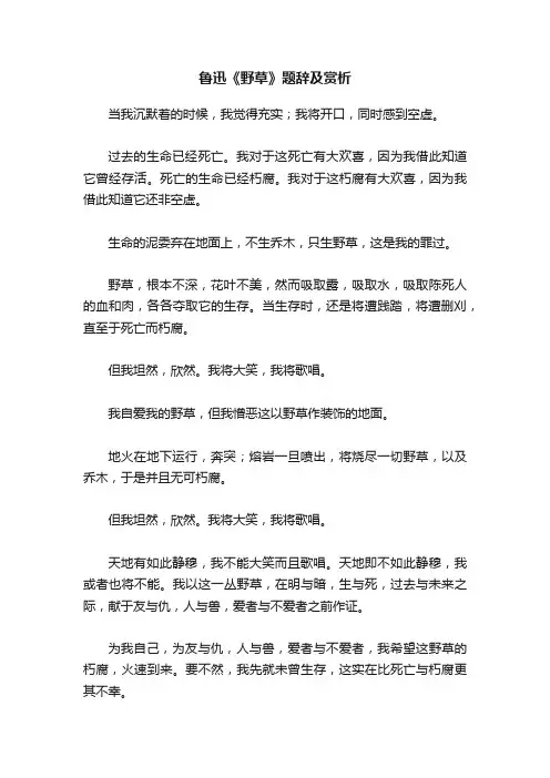 鲁迅《野草》题辞及赏析