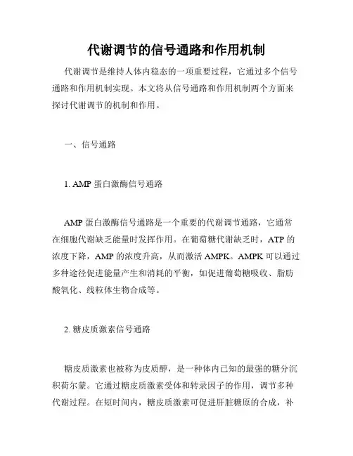代谢调节的信号通路和作用机制