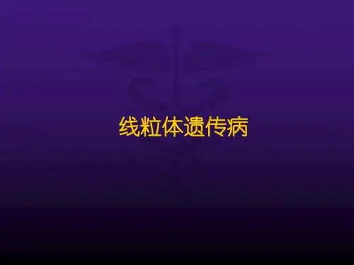 线粒体遗传病ppt课件