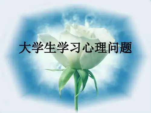大学生学习心理问题24页PPT