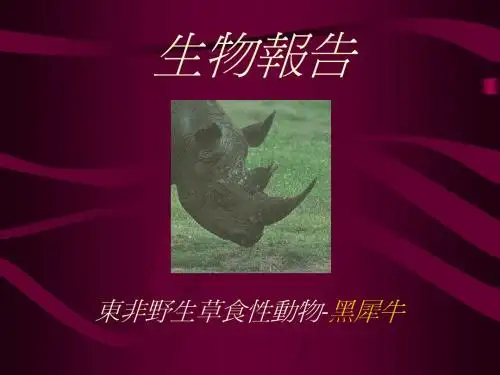 生物报告 东非野生草食性动物-黑犀牛