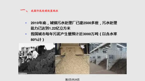 中国污泥处理处置现状