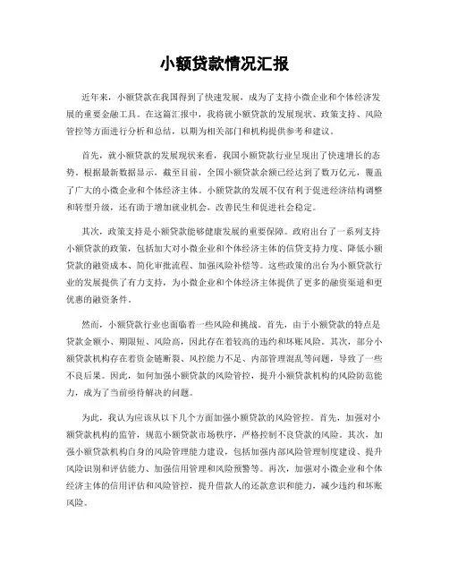小额贷款情况汇报