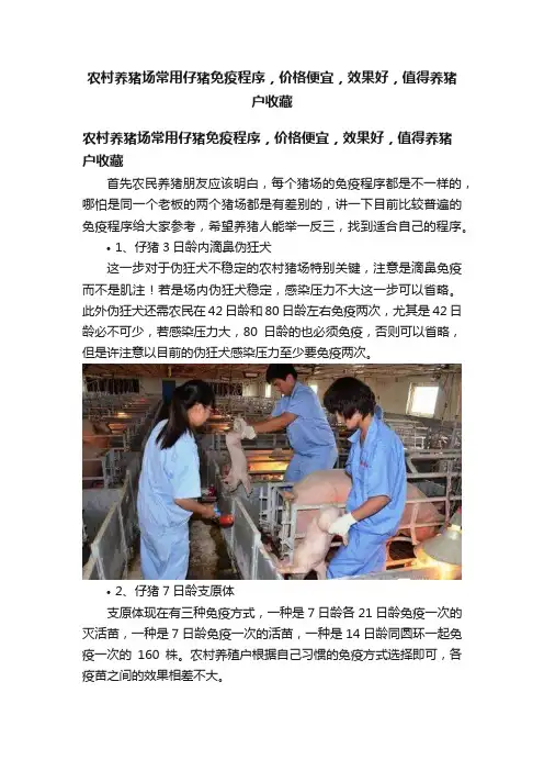 农村养猪场常用仔猪免疫程序，价格便宜，效果好，值得养猪户收藏