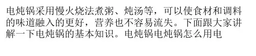 电炖锅的使用方法