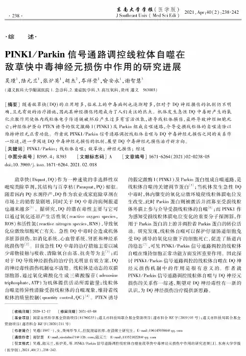 PINK1Parkin信号通路调控线粒体自噬在敌草快中毒神经元损伤中作用的研究进展