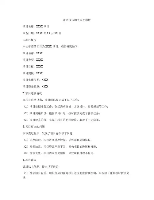 审查报告相关说明模板