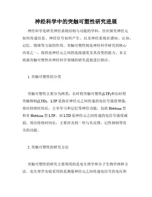 神经科学中的突触可塑性研究进展