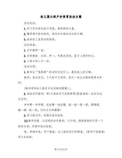 幼儿园小班户外体育活动方案(5篇)
